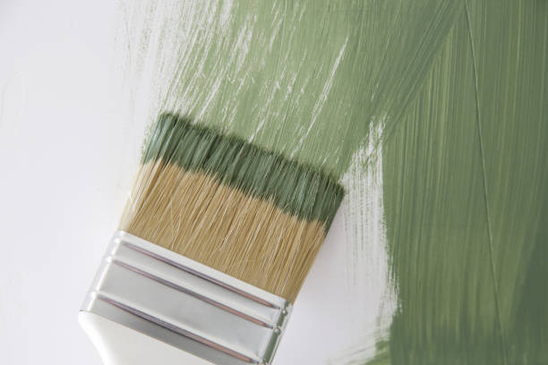 Best Attic Mold Removal  in Hilbert, WI