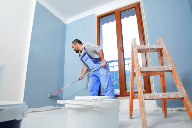  Hilbert, WI Mold Removal Pros