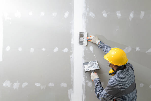 Best Black Mold Removal  in Hilbert, WI