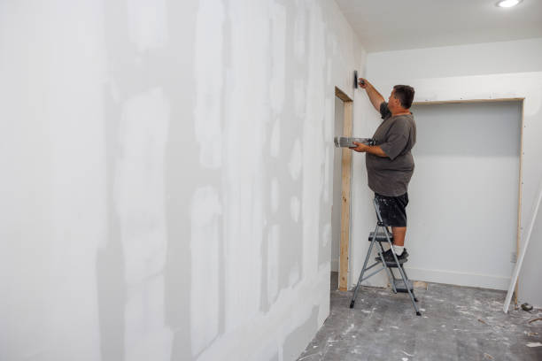 Best Mold Prevention Services  in Hilbert, WI