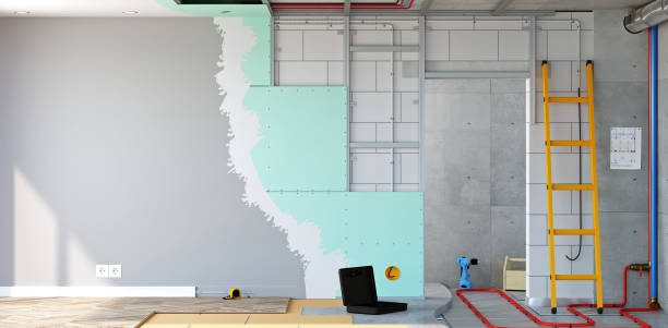 Best Mold Damage Restoration  in Hilbert, WI