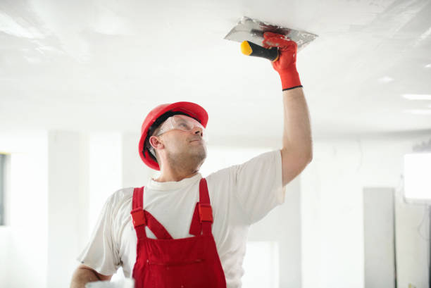 Best Commercial Mold Inspection  in Hilbert, WI