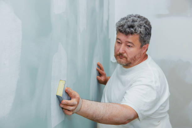 Best Air Quality Testing for Mold Spores  in Hilbert, WI