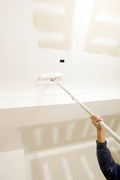 Best Environmental Consulting for Mold Prevention  in Hilbert, WI