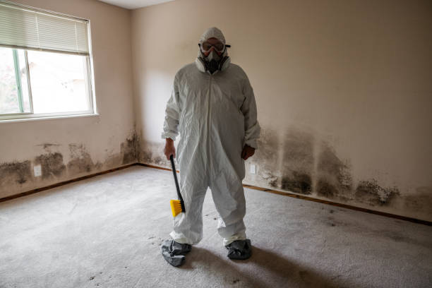 Best Mold Remediation for Healthcare Facilities  in Hilbert, WI