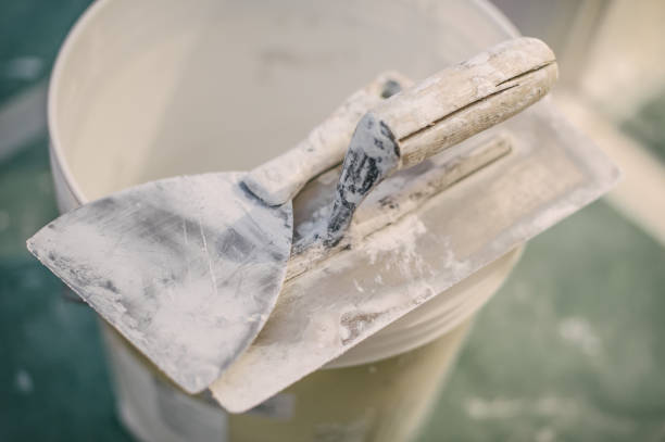 Best Mold-Related Health Consultation  in Hilbert, WI